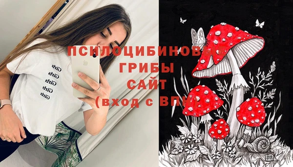 метадон Армянск