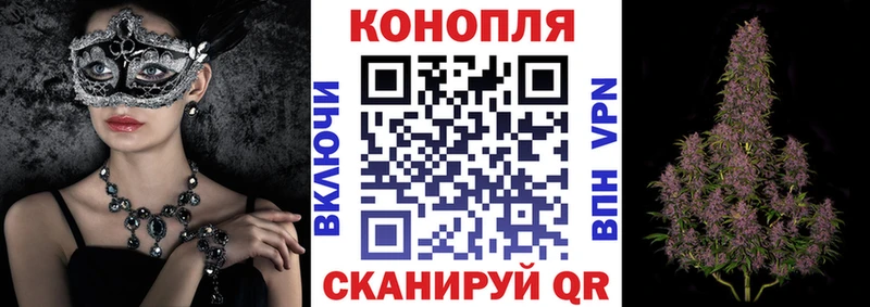 Конопля VHQ blacksprut зеркало Нея наркошоп